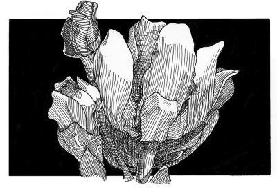 Black and white flowers with hatching
